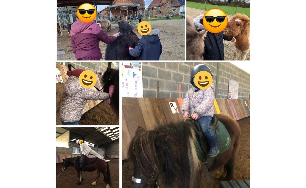 🐎 Séance d'équithérapie | Sprene.fr